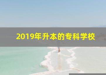 2019年升本的专科学校