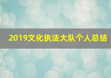 2019文化执法大队个人总结