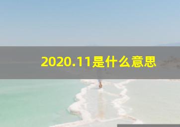 2020.11是什么意思