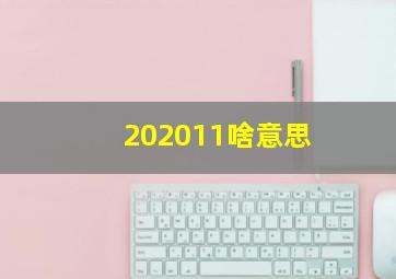 202011啥意思