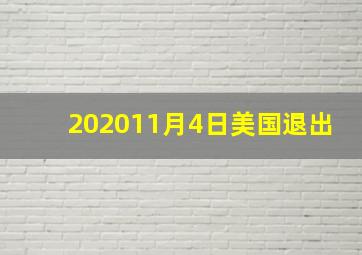 202011月4日美国退出