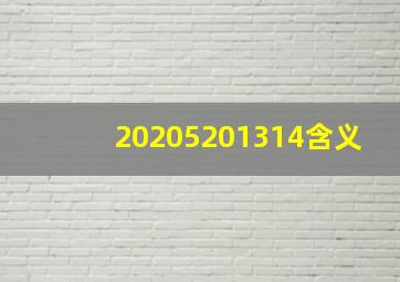 20205201314含义