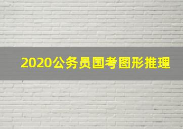 2020公务员国考图形推理