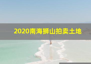 2020南海狮山拍卖土地