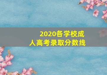 2020各学校成人高考录取分数线