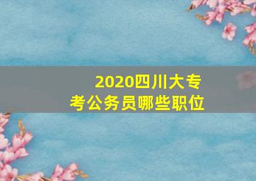 2020四川大专考公务员哪些职位