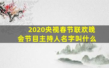 2020央视春节联欢晚会节目主持人名字叫什么