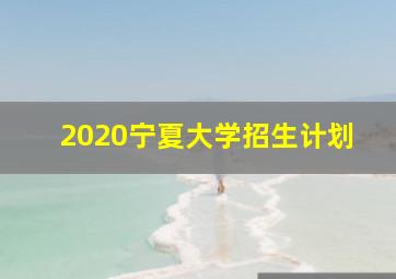 2020宁夏大学招生计划