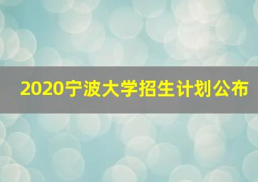 2020宁波大学招生计划公布