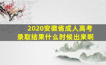 2020安徽省成人高考录取结果什么时候出来啊