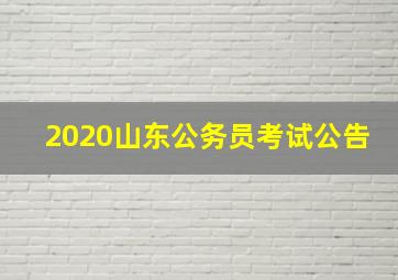 2020山东公务员考试公告