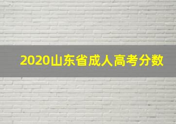 2020山东省成人高考分数