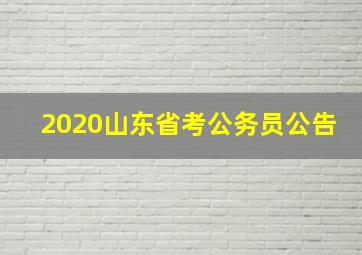 2020山东省考公务员公告