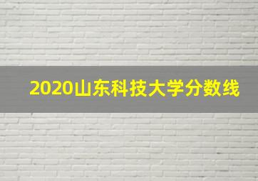 2020山东科技大学分数线