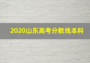 2020山东高考分数线本科