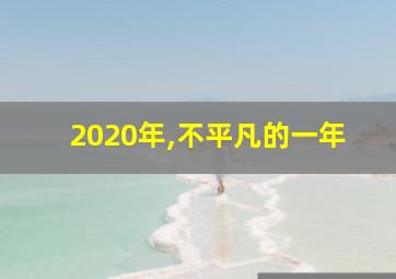 2020年,不平凡的一年