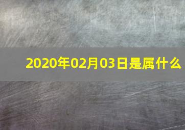 2020年02月03日是属什么