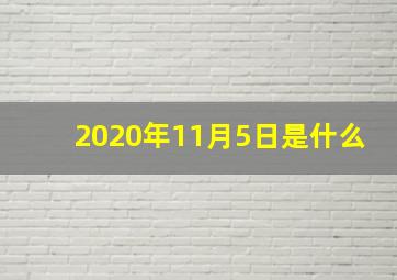 2020年11月5日是什么