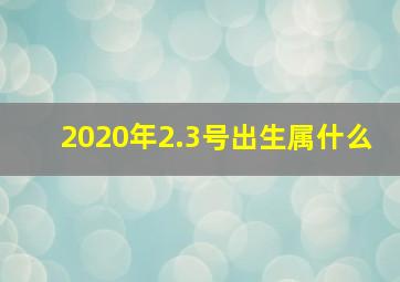 2020年2.3号出生属什么