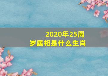 2020年25周岁属相是什么生肖