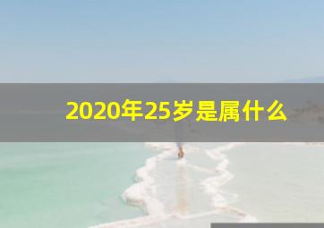 2020年25岁是属什么