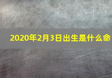 2020年2月3日出生是什么命