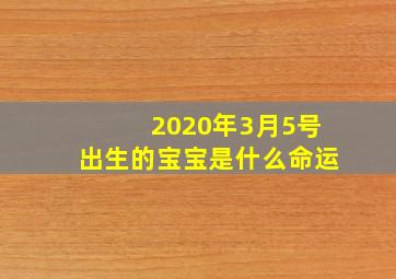 2020年3月5号出生的宝宝是什么命运