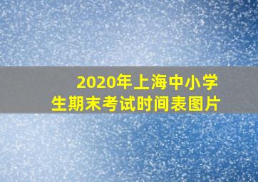 2020年上海中小学生期末考试时间表图片