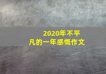 2020年不平凡的一年感慨作文