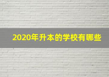 2020年升本的学校有哪些