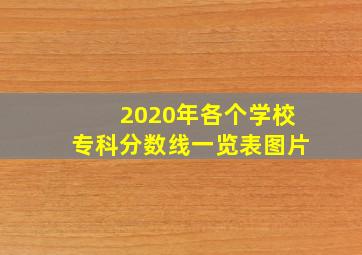 2020年各个学校专科分数线一览表图片