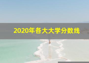 2020年各大大学分数线