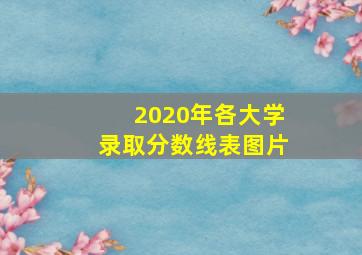 2020年各大学录取分数线表图片