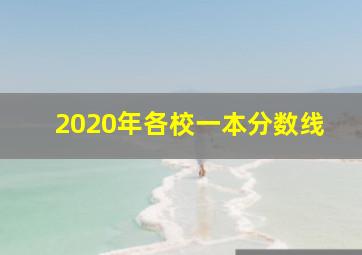 2020年各校一本分数线