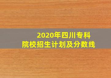 2020年四川专科院校招生计划及分数线