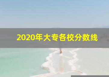 2020年大专各校分数线