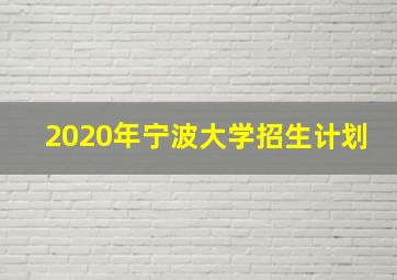 2020年宁波大学招生计划