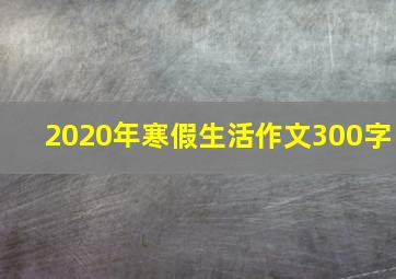 2020年寒假生活作文300字