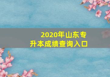 2020年山东专升本成绩查询入口