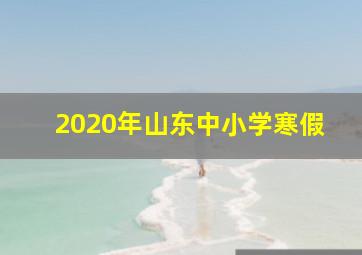 2020年山东中小学寒假