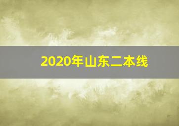 2020年山东二本线