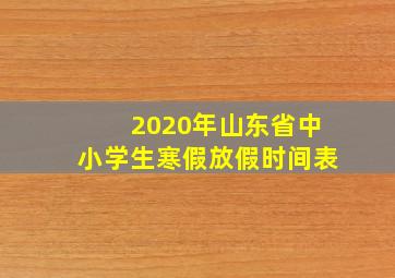 2020年山东省中小学生寒假放假时间表