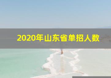 2020年山东省单招人数