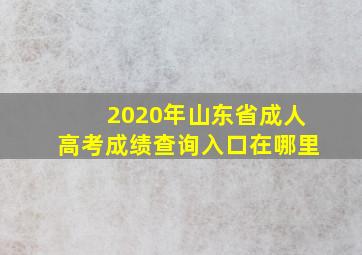 2020年山东省成人高考成绩查询入口在哪里