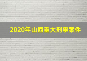 2020年山西重大刑事案件