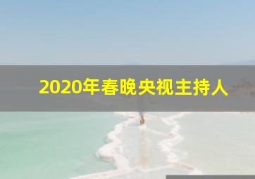 2020年春晚央视主持人