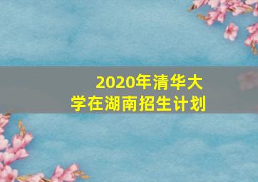 2020年清华大学在湖南招生计划