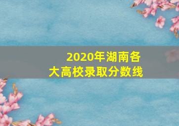 2020年湖南各大高校录取分数线