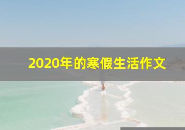 2020年的寒假生活作文