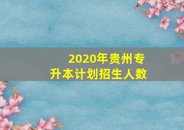 2020年贵州专升本计划招生人数